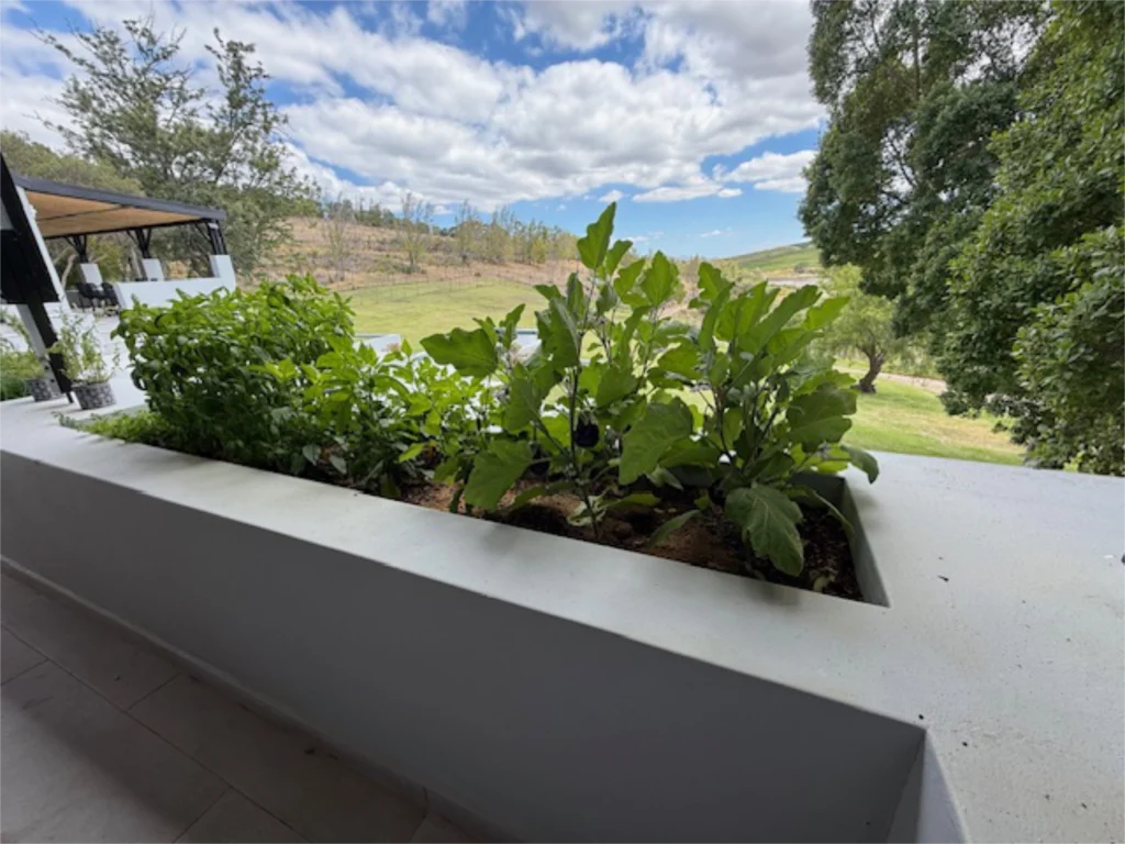 wolfkloof-farm-south-afrika-capetown-kapstadt-13